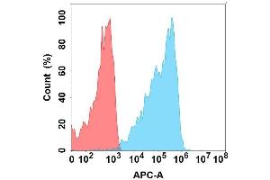 Flow cytometry analysis with Anti-CD on Expi293 cells transfected with human CD (Blue histogram) or Expi293 transfected with irrelevant protein (Red histogram).