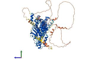 AlphaFold protein structure predicition of Mouse Recombinant Fbxl5 Protein, UniprotID Q8C2S5