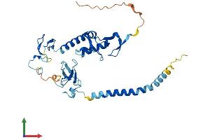 AlphaFold protein structure predicition of Human Recombinant RNF144B Protein, UniprotID Q7Z419