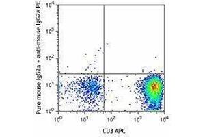 Flow Cytometry (FACS) image for anti-Chemokine (C-C Motif) Receptor 8 (CCR8) antibody (ABIN2664101)