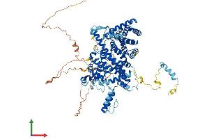 AlphaFold protein structure predicition of Human Recombinant STRIP2 Protein, UniprotID Q9ULQ0