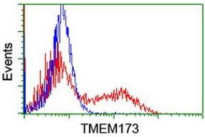 Image no. 2 for anti-Transmembrane Protein 173 (TMEM173) antibody (ABIN1501423) (STING/TMEM173 anticorps)