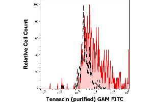 Separation of U-87 MG cells stained using anti-tenascin C (T2H5) purified antibody (concentration in sample 12 μg/mL, GAM FITC, red-filled) from U-87 MG cells unstained by primary antibody (GAM FITC, black-dashed) in flow cytometry analysis (surface staining).