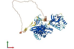 AlphaFold protein structure predicition of Mouse Recombinant Hlcs Protein, UniprotID Q920N2