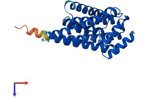 AlphaFold protein structure predicition of Mouse Recombinant Ywhaq Protein, UniprotID P68254