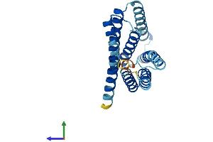 AlphaFold protein structure predicition of Mouse Recombinant Slc50a1 Protein, UniprotID Q9CXK4