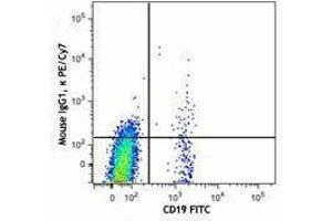 Flow Cytometry (FACS) image for anti-Chemokine (C-X-C Motif) Receptor 5 (CXCR5) antibody (PE-Cy7) (ABIN2659138)