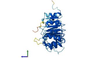 AlphaFold protein structure predicition of Human Recombinant FBXL12 Protein, UniprotID Q9NXK8