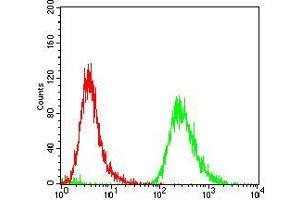 Flow cytometric analysis of A431 cells using EPN1 mouse mAb (green) and negative control (red).