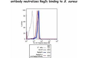 Flow Cytometry (FACS) image for anti-Regenerating Islet Derived Protein 3 gamma (REG3g) antibody (ABIN3002391)