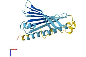AlphaFold protein structure predicition of Human Recombinant PRELID3A Protein, UniprotID Q96N28