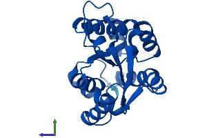AlphaFold protein structure predicition of Human Recombinant CMPK1 Protein, UniprotID P30085