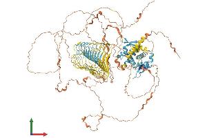 AlphaFold protein structure predicition of Human Recombinant MAGEC1 Protein, UniprotID O60732