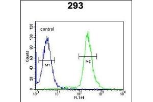 GBP7 Antibody (C-term) (ABIN651102 and ABIN2840070) flow cytometric analysis of 293 cells (right histogram) compared to a negative control cell (left histogram). (GBP7 anticorps  (C-Term))