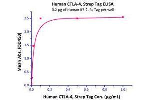 Immobilized Recombinant Human B7-2 / CD86 Protein, With C-Fc Tag  with a linear range of 1-20 ng/mL.