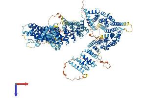 AlphaFold protein structure predicition of Human Recombinant NCAPD2 Protein, UniprotID Q15021