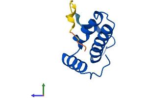 AlphaFold protein structure predicition of Human Recombinant COX6B2 Protein, UniprotID Q6YFQ2