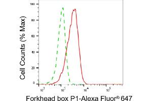 Flow cytometric analysis of Forkhead box P1 expression in HAP-1 cells using Forkhead box P1 antibody (ABIN7798651), 1:2,000). (FOXP1 anticorps)