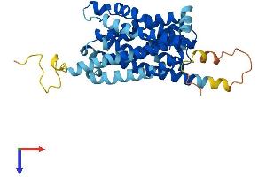 AlphaFold protein structure predicition of Human Recombinant SLC10A2 Protein, UniprotID Q12908