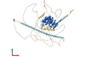 AlphaFold protein structure predicition of Mouse Recombinant Hdac5 Protein, UniprotID Q9Z2V6