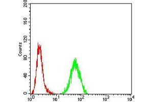 Flow cytometric analysis of HeLa cells using RAD23A mouse mAb (green) and negative control (red). (RAD23A anticorps  (AA 1-363))