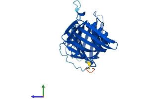 AlphaFold protein structure predicition of Mouse Recombinant Pcna Protein, UniprotID P17918