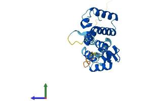 AlphaFold protein structure predicition of Human Recombinant ROPN1 Protein, UniprotID Q9HAT0