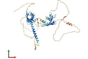 AlphaFold protein structure predicition of Human Recombinant MIDN Protein, UniprotID Q504T8