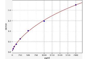 Typical standard curve