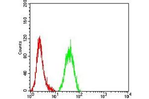 Flow cytometric analysis of Hela cells using Neurod mouse mAb (green) and negative control (red).