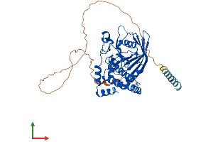 AlphaFold protein structure predicition of Mouse Recombinant Ptpn1 Protein, UniprotID P35821