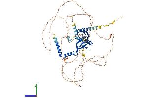 AlphaFold protein structure predicition of Mouse Recombinant Dcp1a Protein, UniprotID Q91YD3