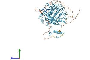 AlphaFold protein structure predicition of Human Recombinant ZNF184 Protein, UniprotID Q99676