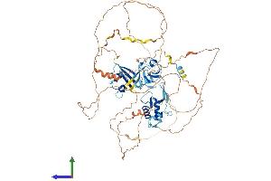 AlphaFold protein structure predicition of Human Recombinant DVL2 Protein, UniprotID O14641