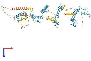 AlphaFold protein structure predicition of Human Recombinant ZNF257 Protein, UniprotID Q9Y2Q1