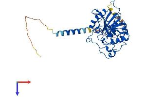 AlphaFold protein structure predicition of Mouse Recombinant B4galt7 Protein, UniprotID Q8R087