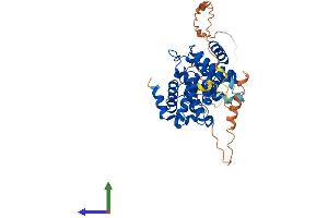 AlphaFold protein structure predicition of Mouse Recombinant Ccnb1 Protein, UniprotID P24860