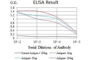 Black line: Control Antigen (100 ng), Purple line: Antigen(10 ng), Blue line: Antigen (50 ng), Red line: Antigen (100 ng),