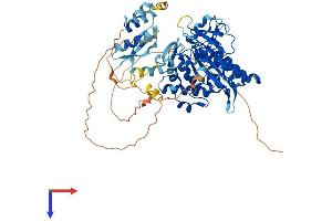 AlphaFold protein structure predicition of Mouse Recombinant Adad1 Protein, UniprotID Q5SUE7