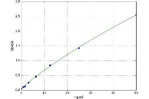 Phosphoinositide-3-Kinase, Catalytic, alpha Polypeptide (PIK3CA) ELISA Kit