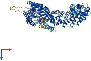 AlphaFold protein structure predicition of Human Recombinant TTC12 Protein, UniprotID Q9H892