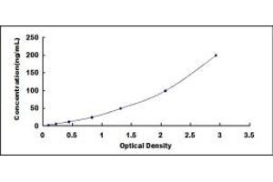 Anti-Apolipoprotein Antibody (AAHA) ELISA Kit