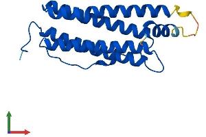 AlphaFold protein structure predicition of Mouse Recombinant Ftl1 Protein, UniprotID P29391