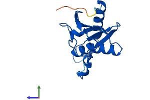 AlphaFold protein structure predicition of Human Recombinant CDA Protein, UniprotID P32320
