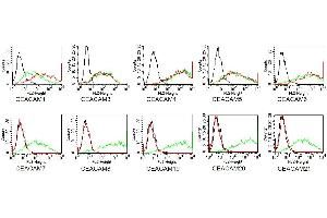 BOSC cells were transiently transfected with expression vectors containing either the cDNA of CEACAM1, CEACAM3- CEACAM8 or CEACAM19-21. (CD66acde anticorps)