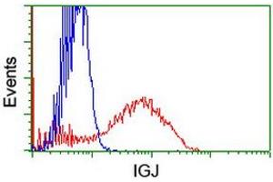 Flow Cytometry (FACS) image for anti-Immunoglobulin J Polypeptide, Linker Protein For Immunoglobulin alpha and mu Polypeptides (IGJ) antibody (ABIN1498837) (IGJ anticorps)