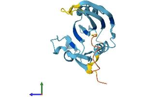 AlphaFold protein structure predicition of Human Recombinant RANGRF Protein, UniprotID Q9HD47