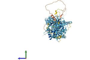 AlphaFold protein structure predicition of Human Recombinant MCM6 Protein, UniprotID Q14566