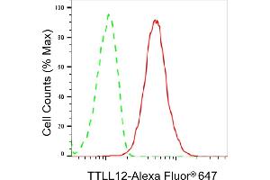 Flow cytometric analysis of TTLL12 expression in HepG2 cells using TTLL12 antibody (ABIN7800661), 1:2,000). (TTLL12 anticorps)
