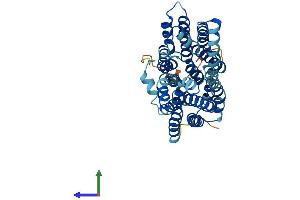 AlphaFold protein structure predicition of Human Recombinant SLC22A18 Protein, UniprotID Q96BI1